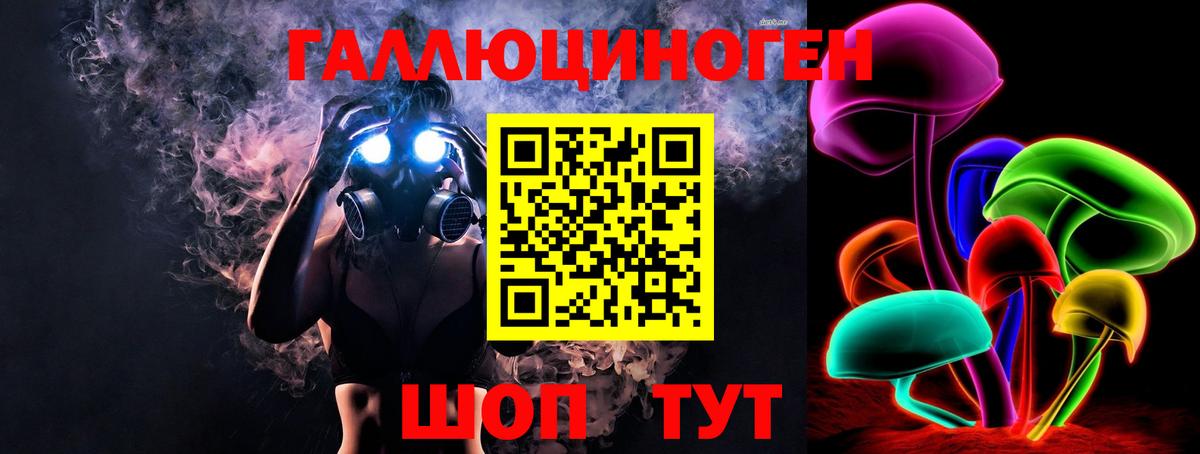 где продают   Псилоцибиновые грибы GOLDEN TEACHER  Вход с VPN  Хасавюрт 